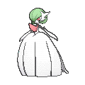 pokemon pokemon
