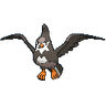 Staravia XY