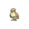 Pidgey XY