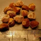 phenylpropanolamine meth recipe