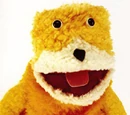 Flat Eric