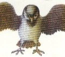 Queen Warbeak