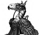 Dragonhawk