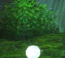 Elune's Tear