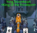Yorg Stormheart