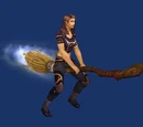 Rickety Magic Broom