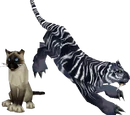 Feline