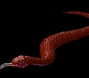 Crimson Snake