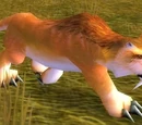 Flatland Cougar