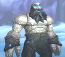 Elder Fargal
