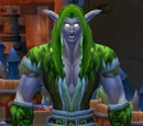 Lunar Festival Vendor