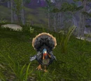 Highlands Turkey
