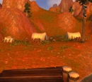 Camp Everstill