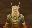 Former high elf models