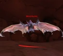 Blind Hunter
