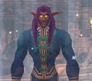 Elder Farwhisper