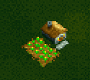 Farm (building)