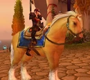 Palomino Bridle