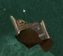 Raven Stone Fragment