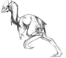 Tallstrider