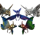 Moth