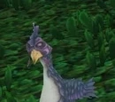Bush chicken