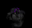 Shade (Warcraft III)