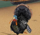 Gobbles
