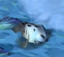 Seal