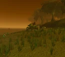 Misty Reed Strand