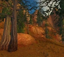 Boulderslide Ravine