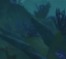 Vile Reef