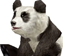 Panda Collar