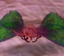 Red Moth Egg