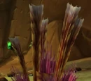 Blueleaf Tuber
