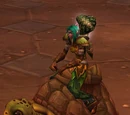 Riding Turtle