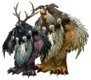 Moonkin Form