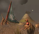 Dawn Runner