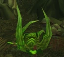 Cleansed Whipper Root