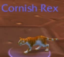 Cat Carrier (Cornish Rex)