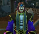 Ansirem Runeweaver
