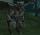Charvis Drunkhoof