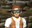 Hoppert Barbinsteel