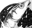 Snakefish