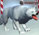 A snow wolf