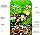 Compost
