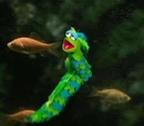 Live animals who have appeared on The Muppet Show