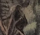 Veil Sixclaw