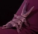 Soldier parasite