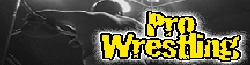 Pro-Wrestling
